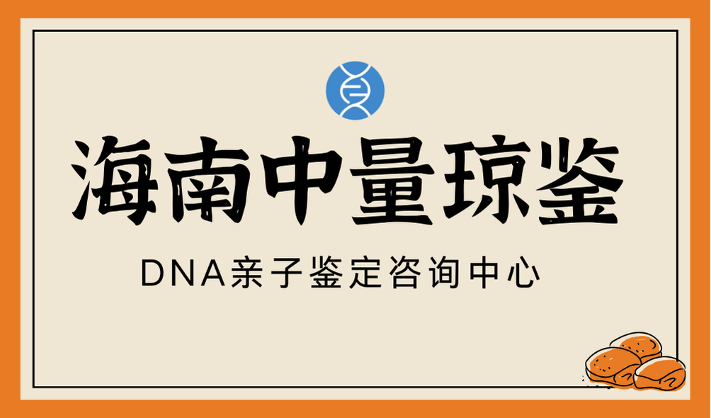 海口親子鑒定全流程詳解